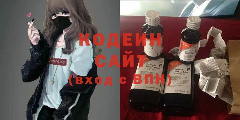 Кодеиновый сироп Lean Purple Drank  Вяземский 